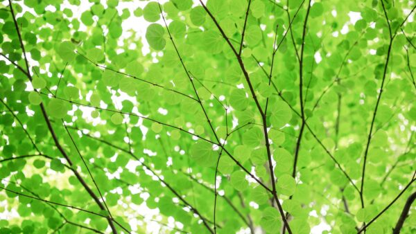 2026年ゴールデンウィークの自習室について